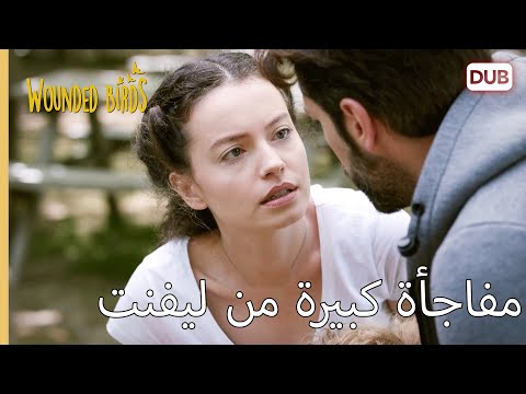 مفاجأة كبيرة من ليفنت الطيور المجروحة 63