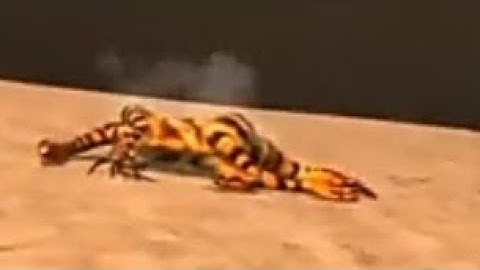 who will be champion of pong 1977 S2(round two to final part 1)