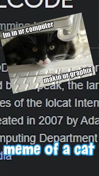 Learning the Most Difficult Programming Languages #shorts - YouTube
