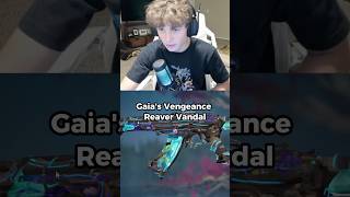 What is Valorant even about #gaming #funny