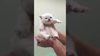 VID 20220118 WA0019 1
