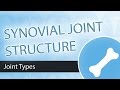 Understanding Synovial Joints