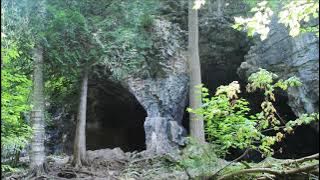 Ben's Tours--Bruce's Caves Conservation Area