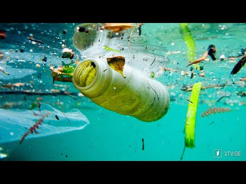 როგორ გადავარჩინოთ დედამიწა?