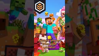 Delete Players From Your Server Whitelist INSTANTLY #minecraft
