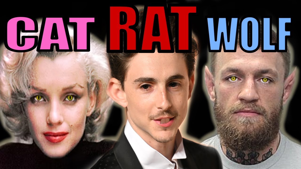 The Twelve Animal Personalities and Their Appearances