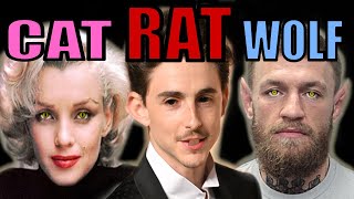 Download Lagu The Twelve Animal Personalities and Their Appearances MP3