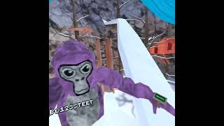 me playing gorilla tag