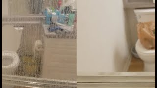 Can CLR (Calcium, Lime, Rust cleaner) remove mineral deposits from glass shower doors?