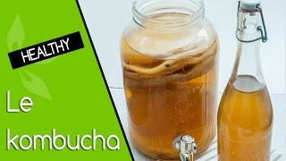 Kombucha bienfaits, préparation et stockage ♥