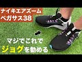 【ガチでヤバい】ペガサス38が万能すぎる理由をレビューします