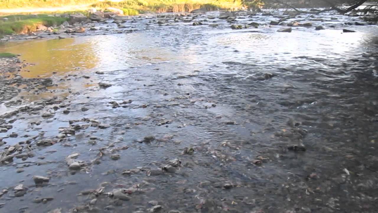 река лефеджа карта Река Лефеджа при село Бряговица (Lefedja river)   YouTube река лефеджа карта