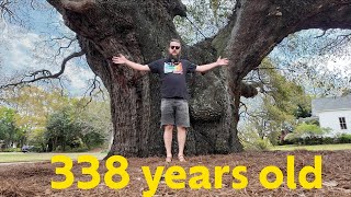 Back roads and small towns of the south || big freakin oak tree by Being Bethune’s  1,199 views 1 month ago 42 minutes