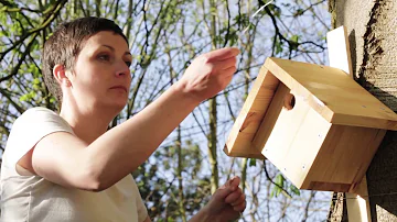 Comment faire une maison à oiseaux facile ?