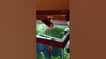Feeder prototype