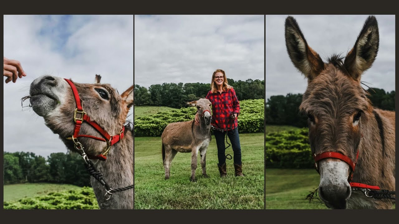 Cavender Creek Vineyards & Winery Trade Show 2