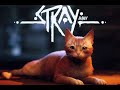 STRAY ФИНАЛ ИГРЫ