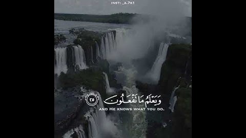 آيات من كتاب الله..صدق الله العظيم