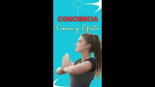 Admitir Tus Propios Errores Puede Ayudarte A Solucionarlos