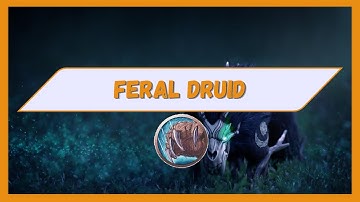 Feral Druid 11.1 Full M+ Guide TWW Season 2