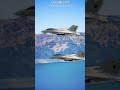 Why America Destroyed Its Own F14 Fighter Jets To Stop Iran