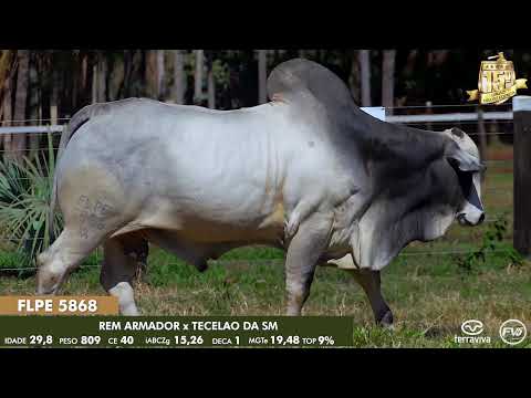 Nelore Cometa | 15º Leilão | Lote 27