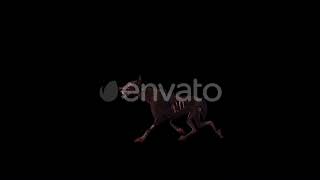 Zombie Dog Walk | Motion Graphics - Envato elements