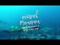 Обзорная лекция "Остров Монерон: удивительный и сказочный мир"