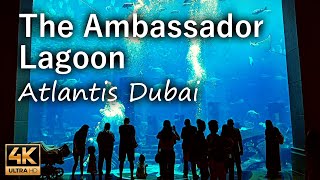 The Ambassador Lagoon, Atlantis The Palm / Dubai UAE / 4K