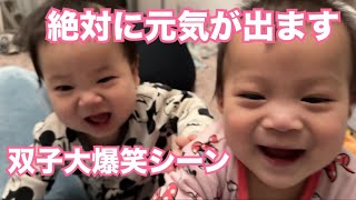 元気を貰える双子赤ちゃんの大爆笑シーン