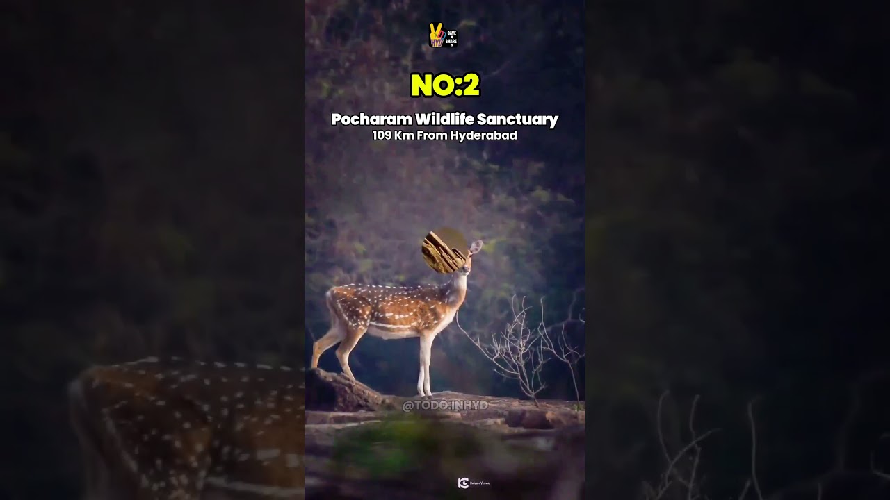 one-day trips from Hyderabad || Todoinhyd ||  