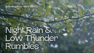 Gentle Rainfall with Thunder Echoes ⚡ Perfect for Sleeping, Studying & Pure Relax
