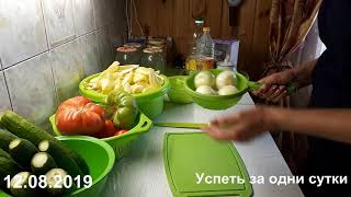 12.08.2019 САЛАТ ДОНСКОЙ НА ЗИМУ ИЗ СССР 12.08.2019 САЛАТ ДОНСКОЙ НА ЗИМУ ИЗ СССР