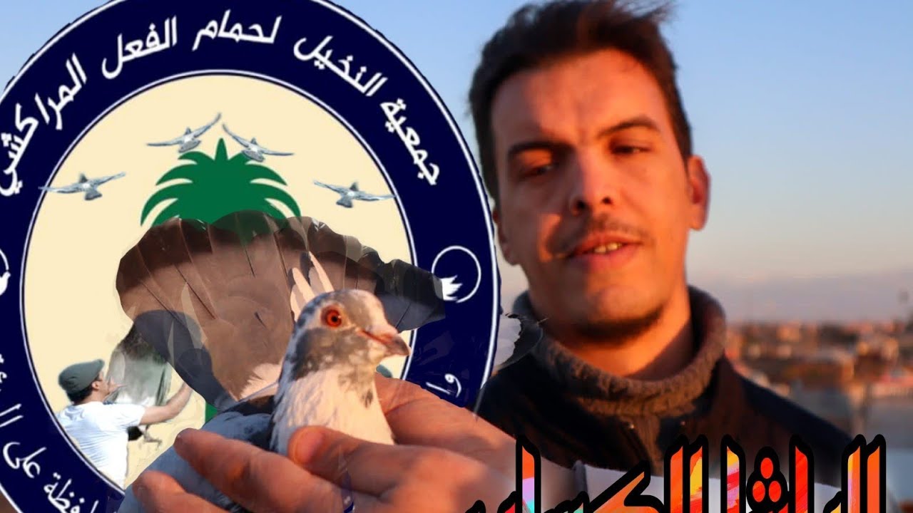 نضمت جمعية النخيل مطلق للحمام الفعل الأحد الماضي لكن لم ينجح الحمام في المسابقة تأجل إلى يوم أخر