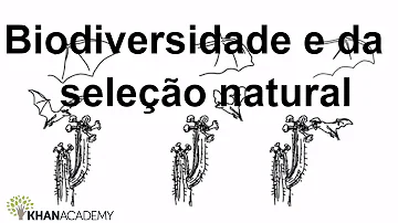 O que é evolução tem a ver com a biodiversidade?