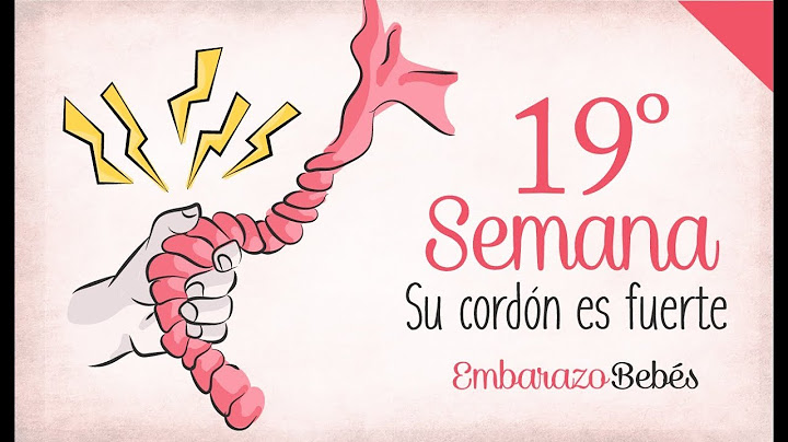 SEMANA 19 de #Embarazo | 5º Mes | Semana a semana