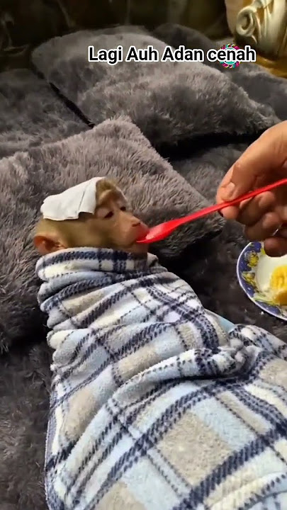 lagi Auh Adan cenah hee #fypシ゚viral