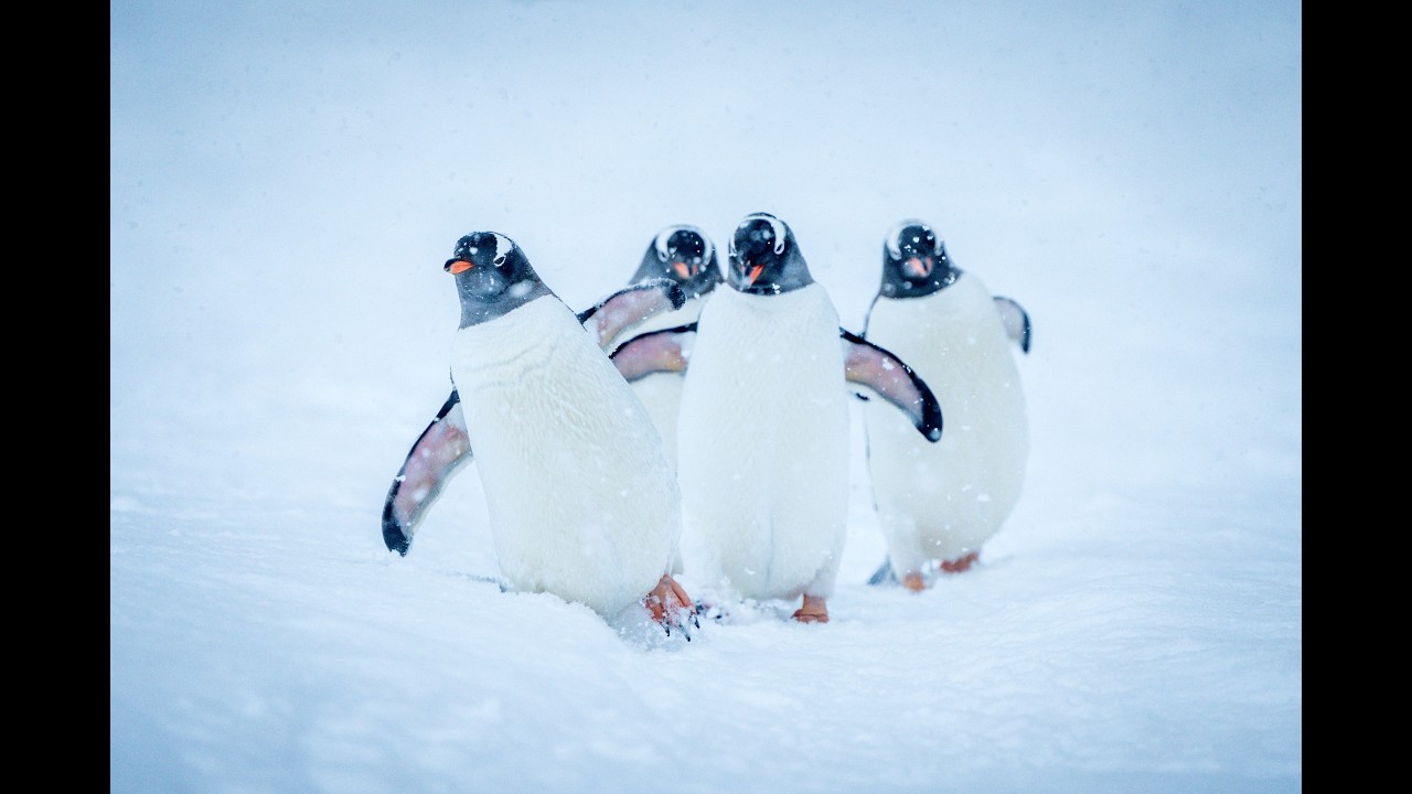 MAGELLAN DISCOVERER LAUNCH