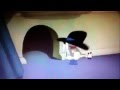Uncle Pecos Uncle Pecos