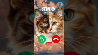 Download Lagu 😺 🤙#ringtone #catshorts #cutepets #animalshorts #catsoftiktok #funnyanimals #dailyaww #2025trends MP3 Download Lagu 😺 🤙#ringtone #catshorts #cutepets #animalshorts #catsoftiktok #funnyanimals #dailyaww #2025trends MP3