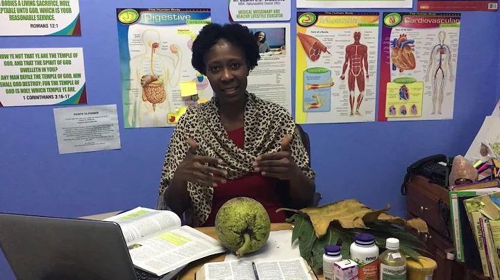 Dr  Debra Williams   Health benefits of Breadfruit...