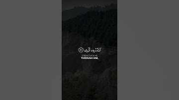 القارئ شريف مصطفى | #سورة_طه #قرآن_كريم ~ إكتب شيء تؤجر عليه 🤍🌱