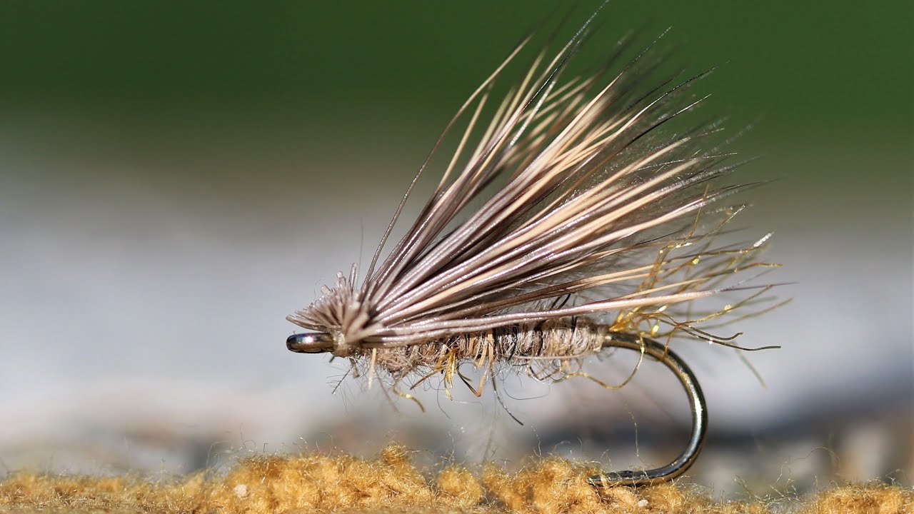 Fly Tying Techniques: Hungarian Partridge Feathers 