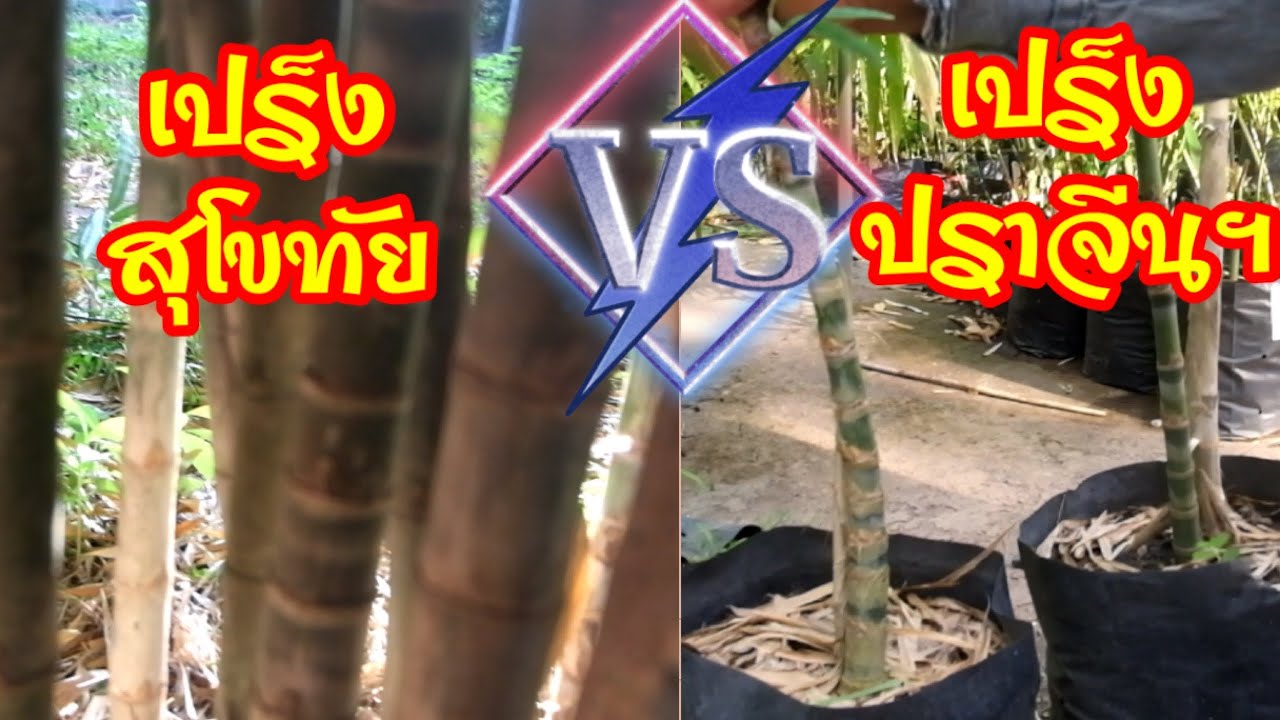 ป้าย ระวัง วัตถุ ไวไฟ