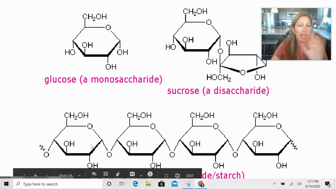 Macromolecule Overview - Carbohydrates & Lipids: Aug 16, 2020 1:29 PM