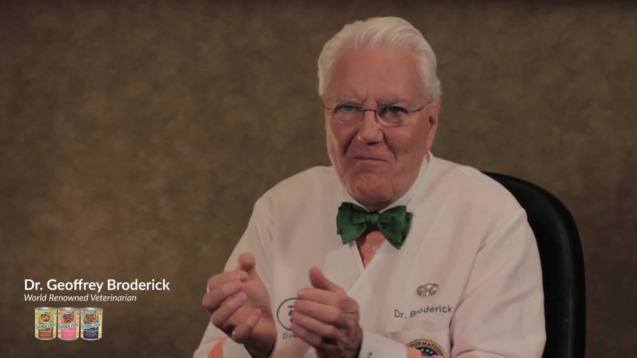 A Pet Food For Cat And Dogs