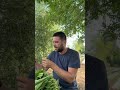 la recinzione alla brina è stato il mio migliore investimento
