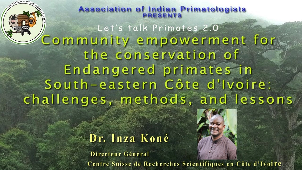 Inza Koné: «Les primates jouent un rôle extrêmement important pour les  écosystèmes» - Le grand invité Afrique