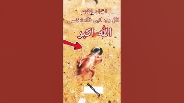 #القران_الكريم #تلاوه_خاشعه #قال رب انیی ظلمت نفسی #الشيخ محمود الشحات #الحنجرة_الذهبية #foryou