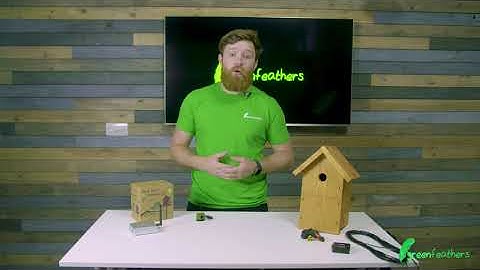 Bird Box Camera with Wireless Transmission | How Does it Work?